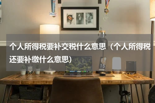 个人所得税要补交税什么意思（个人所得税还要补缴什么意思）