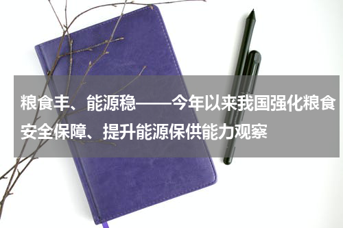 粮食丰、能源稳——今年以来我国强化粮食安全保障、提升能源保供能力观察