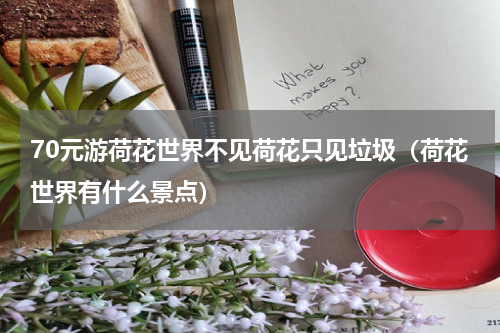 70元游荷花世界不见荷花只见垃圾（荷花世界有什么景点）