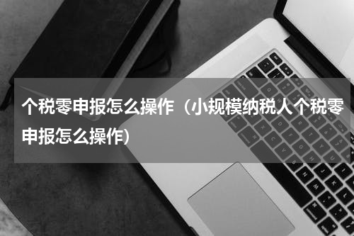个税零申报怎么操作（小规模纳税人个税零申报怎么操作）