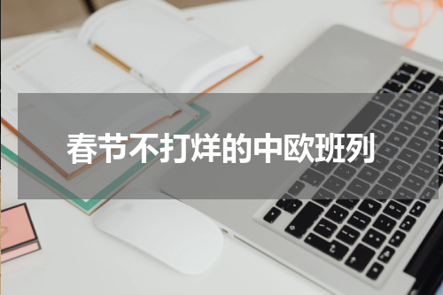 春节不打烊的中欧班列