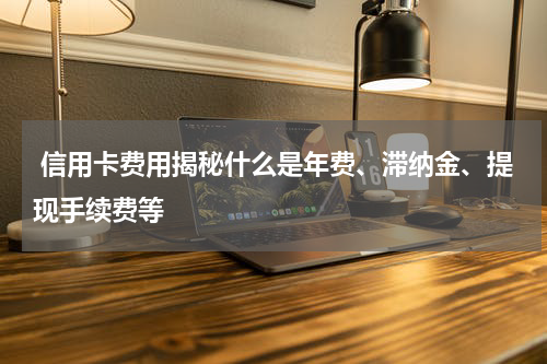  信用卡费用揭秘什么是年费、滞纳金、提现手续费等