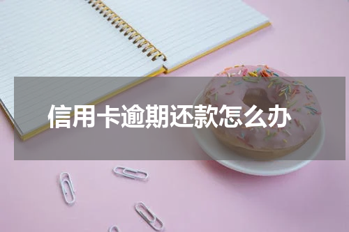 信用卡逾期还款怎么办