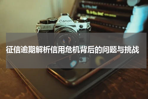  征信逾期解析信用危机背后的问题与挑战