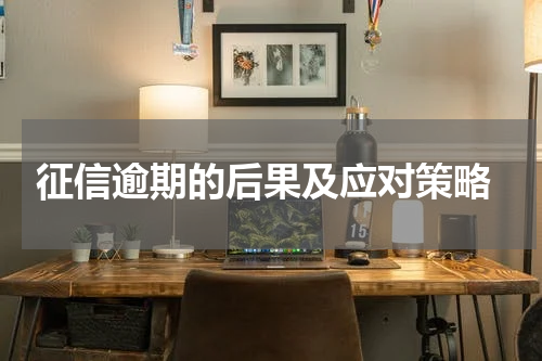  征信逾期的后果及应对策略