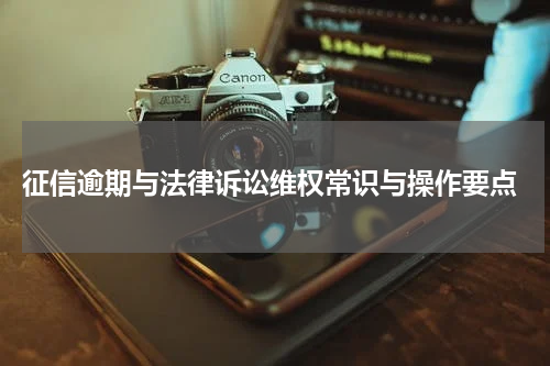  征信逾期与法律诉讼维权常识与操作要点