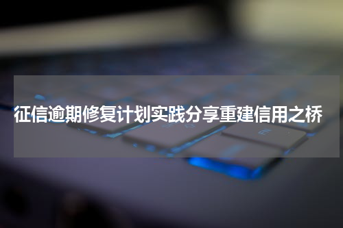  征信逾期修复计划实践分享重建信用之桥