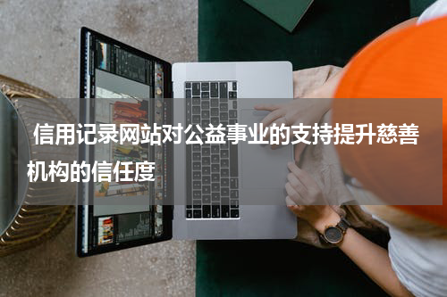 信用记录网站对公益事业的支持提升慈善机构的信任度