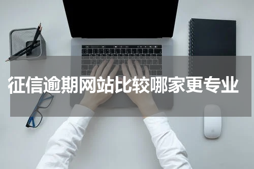  征信逾期网站比较哪家更专业