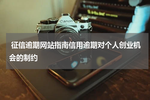  征信逾期网站指南信用逾期对个人创业机会的制约