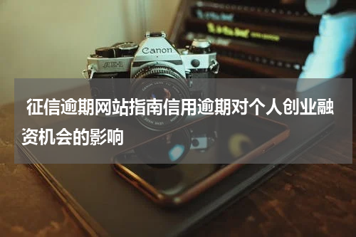  征信逾期网站指南信用逾期对个人创业融资机会的影响