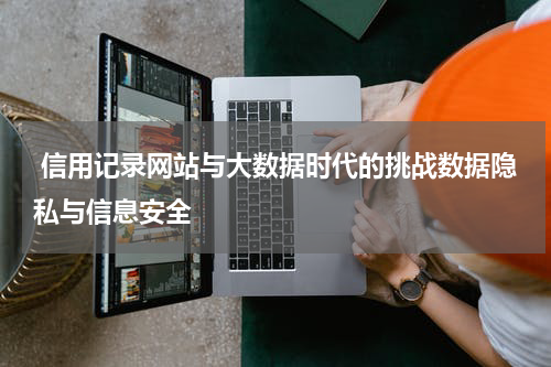  信用记录网站与大数据时代的挑战数据隐私与信息安全