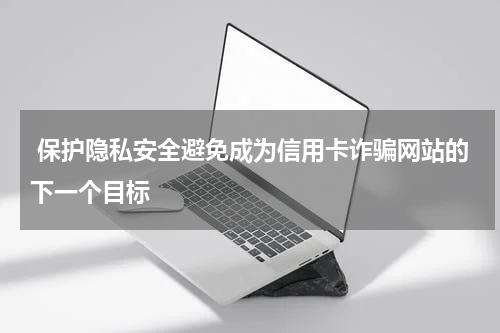 保护隐私安全避免成为信用卡诈骗网站的下一个目标