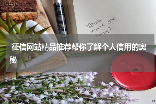  征信网站精品推荐帮你了解个人信用的奥秘