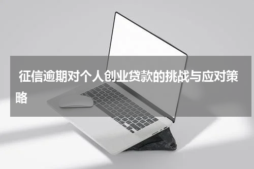  征信逾期对个人创业贷款的挑战与应对策略