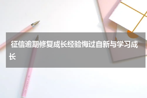  征信逾期修复成长经验悔过自新与学习成长
