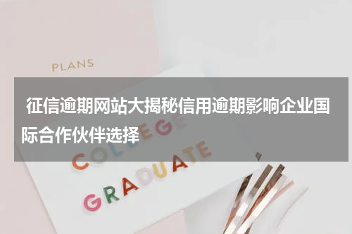  征信逾期网站大揭秘信用逾期影响企业国际合作伙伴选择