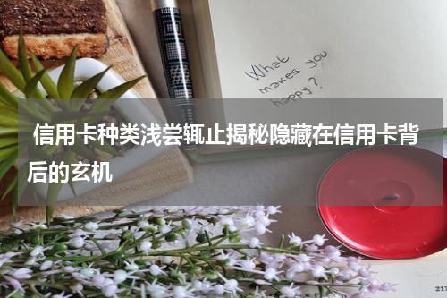 信用卡种类浅尝辄止揭秘隐藏在信用卡背后的玄机