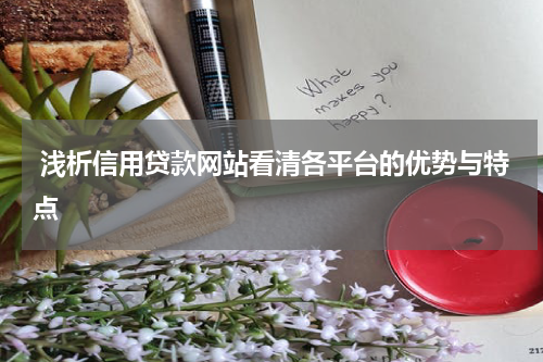  浅析信用贷款网站看清各平台的优势与特点