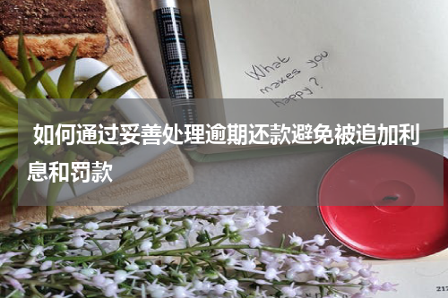  如何通过妥善处理逾期还款避免被追加利息和罚款
