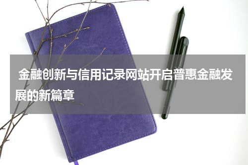  金融创新与信用记录网站开启普惠金融发展的新篇章