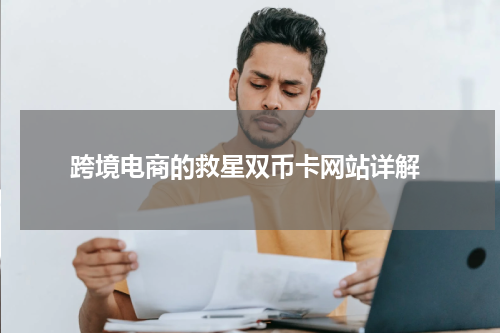 跨境电商的救星双币卡网站详解