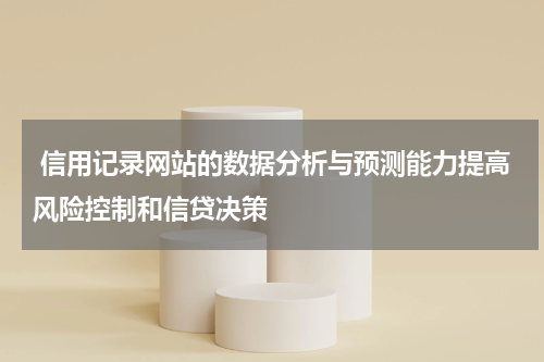  信用记录网站的数据分析与预测能力提高风险控制和信贷决策