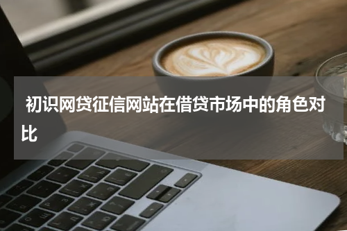 初识网贷征信网站在借贷市场中的角色对比