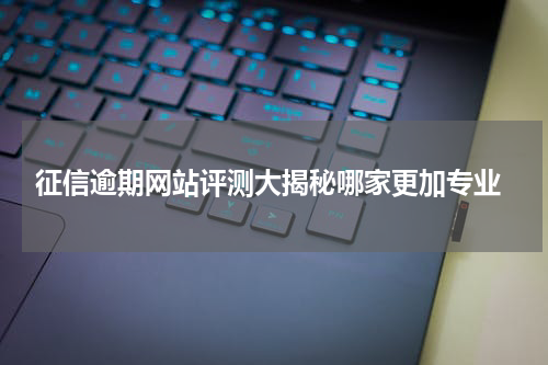  征信逾期网站评测大揭秘哪家更加专业