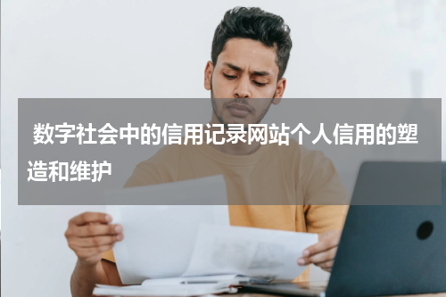  数字社会中的信用记录网站个人信用的塑造和维护