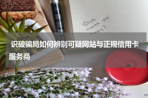  识破骗局如何辨别可疑网站与正规信用卡服务商