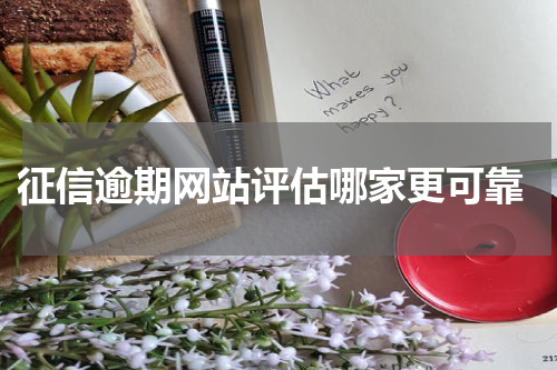  征信逾期网站评估哪家更可靠