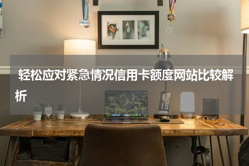  轻松应对紧急情况信用卡额度网站比较解析