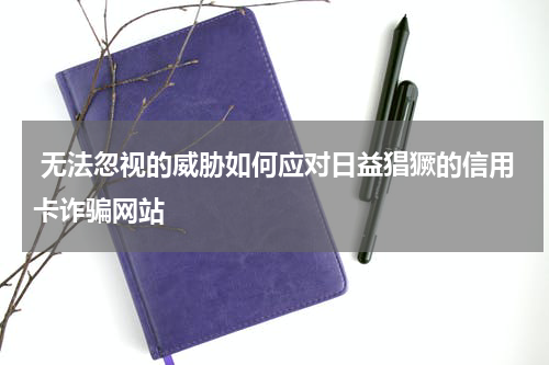  无法忽视的威胁如何应对日益猖獗的信用卡诈骗网站