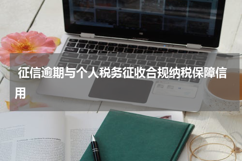  征信逾期与个人税务征收合规纳税保障信用