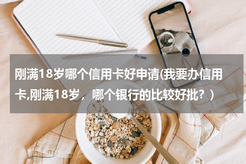 刚满18岁哪个信用卡好申请(我要办信用卡,刚满18岁，哪个银行的比较好批？)