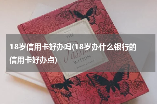 18岁信用卡好办吗(18岁办什么银行的信用卡好办点)