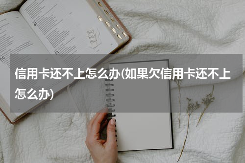 信用卡还不上怎么办(如果欠信用卡还不上怎么办)