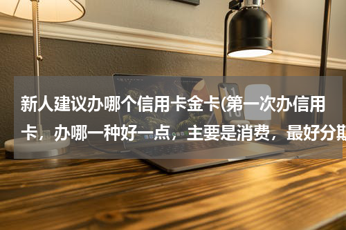 新人建议办哪个信用卡金卡(第一次办信用卡，办哪一种好一点，主要是消费，最好分期付款的，有知道的给点建议，可以办的更好了)