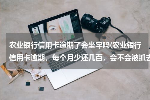 农业银行信用卡逾期了会坐牢吗(农业银行信用卡逾期，每个月少还几百，会不会被抓去坐牢？)