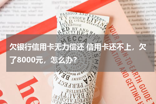 欠银行信用卡无力偿还 信用卡还不上，欠了8000元，怎么办？