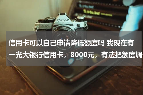信用卡可以自己申请降低额度吗 我现在有一光大银行信用卡,8000元,有法把额度调低吗,怎么调?谢谢