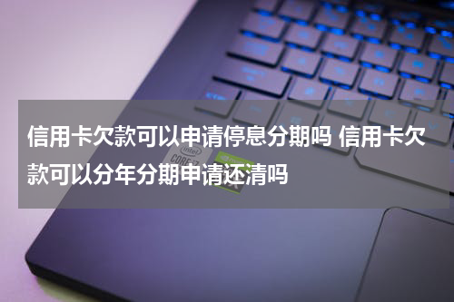 信用卡欠款可以申请停息分期吗 信用卡欠款可以分年分期申请还清吗
