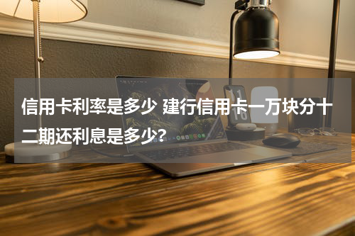 信用卡利率是多少 建行信用卡一万块分十二期还利息是多少?