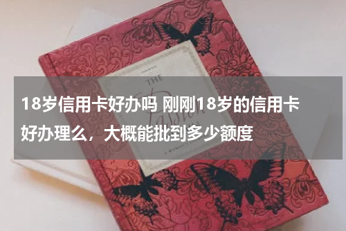 18岁信用卡好办吗 刚刚18岁的信用卡好办理么，大概能批到多少额度