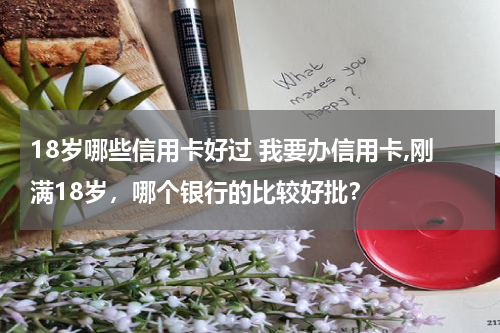18岁哪些信用卡好过 我要办信用卡,刚满18岁，哪个银行的比较好批？