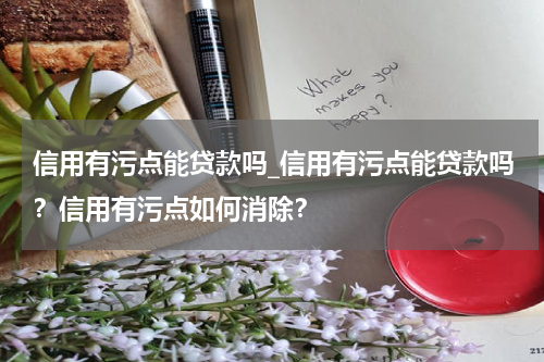 信用有污点能贷款吗_信用有污点能贷款吗?信用有污点如何消除?